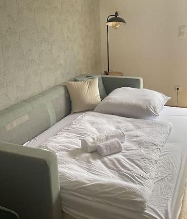 Doreyhome P5 - Zentrale Apartment Fuer 5 Pers Nahe Der Altstadt - Parkplatz - Wlan Pasov Exteriér fotografie